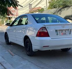 تويوتا كورولا